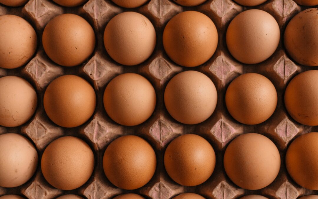 Eggs: Everything you need to know