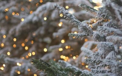 Christmas with diabetes