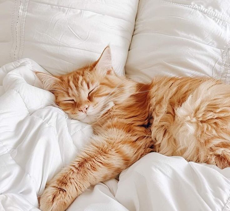 Πώς να βελτιώσετε τον ύπνο σας φυσικά